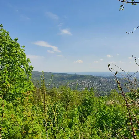 Relax * Budakeszi