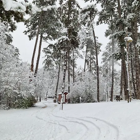 Appartement Zoeld Relax