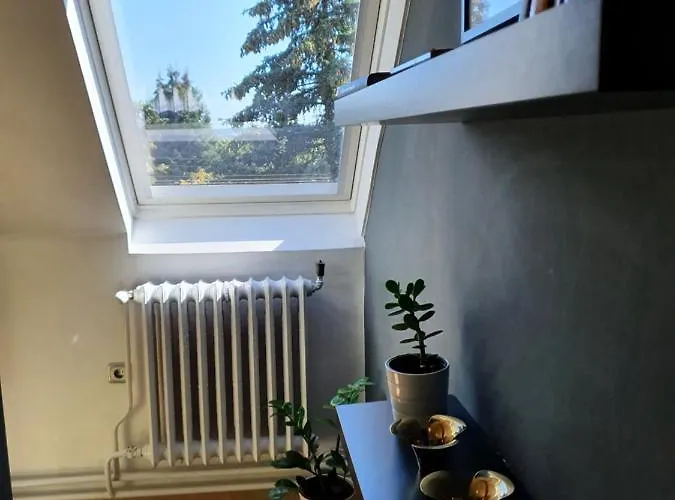 Zoeld Relax * Budakeszi