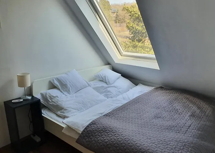Zoeld Relax Budakeszi